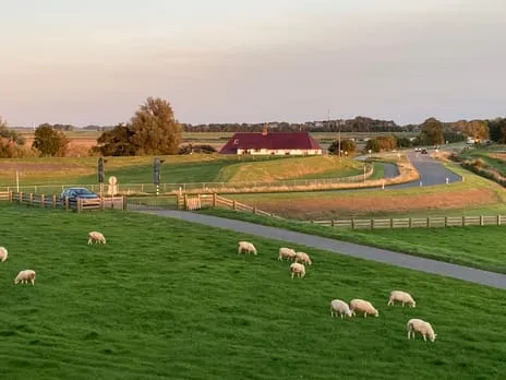 Vrijstaande woning te koop: Grândyk 9, Verspreide huizen Holwerd Holwert