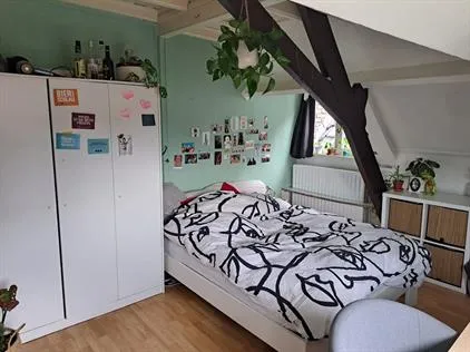 Kamer te huur: Haagweg, Princenhage Breda