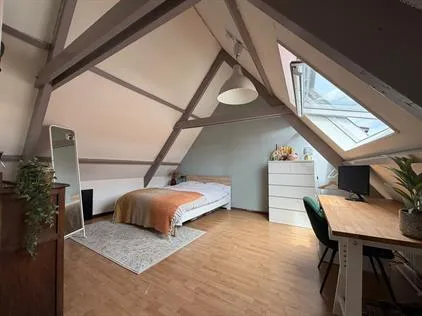 Kamer te huur: Halsteeg, Centrum Delft