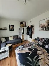 Kamer te huur: Hamburgerstraat, Professorenbuurt Groningen
