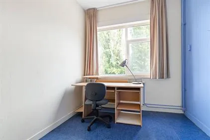 Kamer te huur: Hamburgerstraat, Groningen