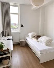 Room for rent: Hamerstraat, Hamerstraatkwartier-West Amsterdam