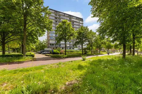 Studio te koop: Händellaan 61, Holtenbroek I Zwolle