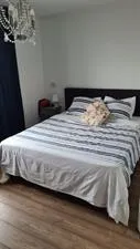 Kamer te huur: Harriet Freezerstraat, G-buurt-West Amsterdam