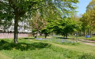 Appartement te koop: Haverweerd 84, Klaarwater Soest