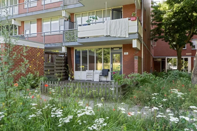 Apartment for sale: Havikskruid 145, Kruidenhof Diemen
