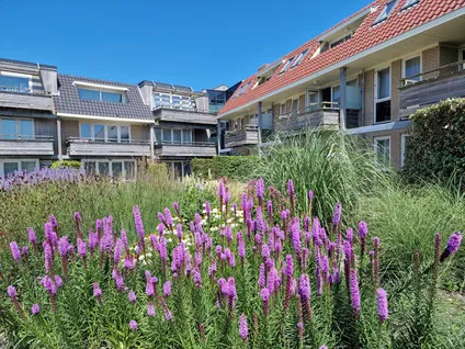 Woning te koop: Heereweg 5-45, Verspreide huizen Midsland-Zuid Midsland
