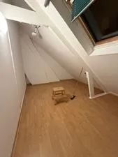 Kamer te huur: Heezerweg, Eindhoven