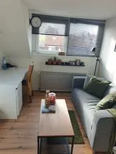 Room for rent: Heliconweg, Vossepark Leeuwarden