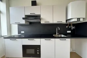 Home for rent: Helperpark, Europapark Groningen
