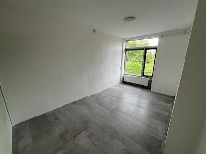 Kamer te huur: Hendrinaland, Landen 'S-Gravenhage