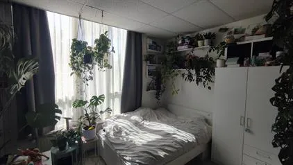 Kamer te huur: Hennepstraat, Stevenfenne Enschede