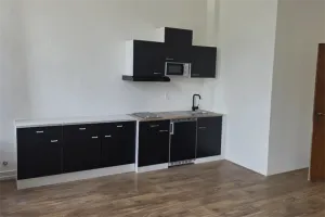 Woning te huur: Herbenusstraat, Statenkwartier Maastricht