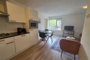 Woning te huur: Herenweg, Zandvoortselaan en Berkenrode en omgeving Heemstede