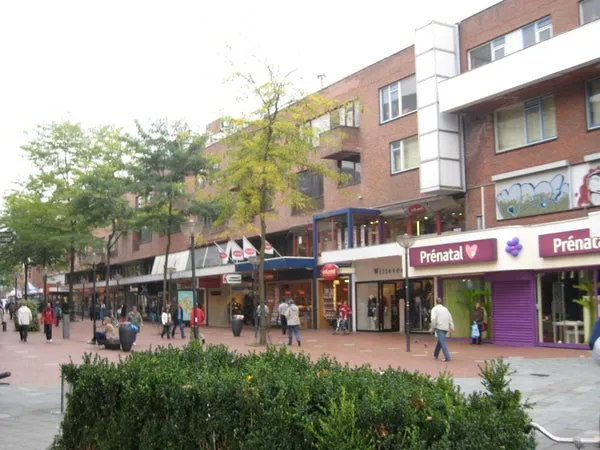 Woning te huur: Hermanus Boexstraat, Binnenstad Eindhoven