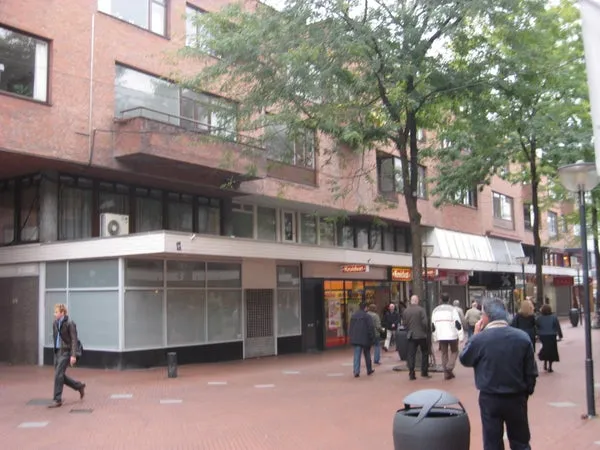Woning te huur: Hermanus Boexstraat, Binnenstad Eindhoven