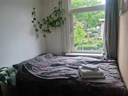 Kamer te huur: Hertspieghelweg, Bosleeuw Amsterdam