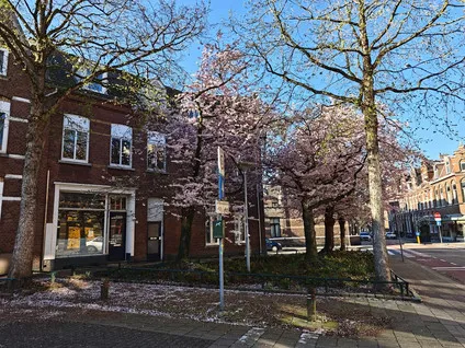 Appartement te koop: Herungerstraat 2, Binnenstad-Noord Venlo