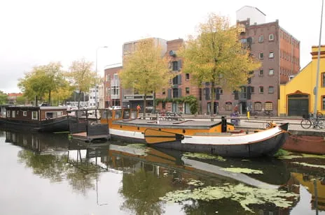 Tussenwoning te koop: Hoendiep 1001, Hoendiep Groningen