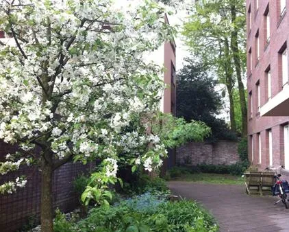 Kamer te huur: Hof van St.-Jan, Domplein, Neude, Janskerkhof Utrecht