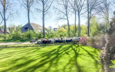 Vrijstaande woning te koop: Hofakkersweg 2, Westeresch Exloo