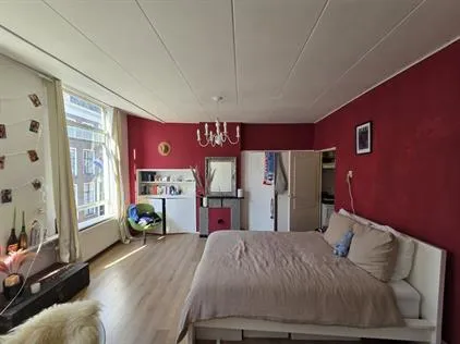 Kamer te huur: Hogewoerd, Levendaal-Oost Leiden