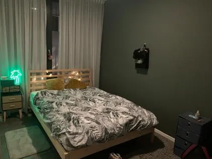 Room for rent: Hoogaarslaan, Hoornseveld Zaandam