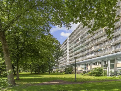 Appartement te huur: Hoogoord 20, Rechte H-buurt Amsterdam