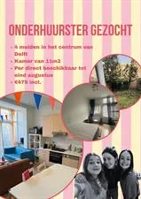 Kamer te huur: Hugo de Grootstraat, Olofsbuurt Delft