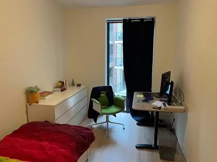 Kamer te huur: Ireneboulevard, Stationsbuurt Delft