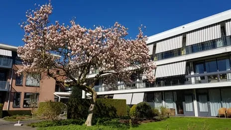 Studio te huur: Irenelaan 1., Haren-Zuidwest Haren (Gr)