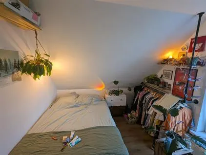 Room for rent: Jacob Catsstraat, Oude Noorden Rotterdam