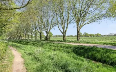 Hoekwoning te koop: Jacob Catsstraat 38, Veld Oost Lichtenvoorde