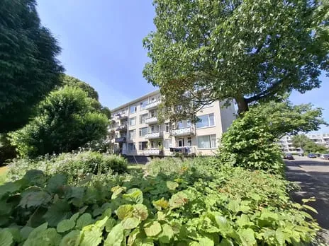 Appartement te koop: Jan den Haenstraat 10, Van Ewijckstraat en omgeving Dordrecht