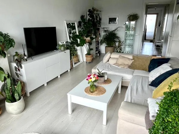 Woning te huur: Jan Evertsenstraat, Pieter van der Doesbuurt Amsterdam