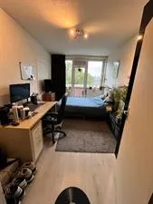 Kamer te huur: Jeroen Boschlaan, Doornakkers-West Eindhoven