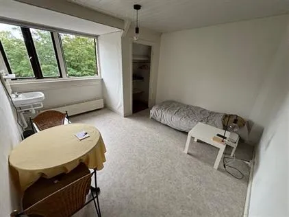 Kamer te huur: Johan de Wittlaan, Arnhemse Broek Arnhem