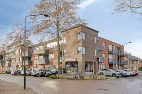 Appartement te koop: Jonker Speelmanstraat 20, St. Servatius - Schoonstr - Den Dolvert Heeswijk-Dinther