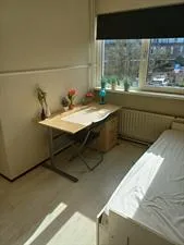 Kamer te huur: Judith Leijsterstraat, Vrouwenpolder Lisse