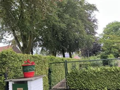 Kamer te huur: Julianastraat, Diessen Diessen