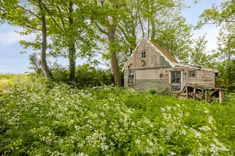 Vrijstaande woning te koop: Kanaaldijk 17, West-Graftdijk West-Graftdijk
