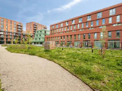 Tussenwoning te huur: Katadreuffestraat 38, Afrikaanderwijk Rotterdam