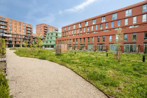 Tussenwoning te huur: Katadreuffestraat 38, Afrikaanderwijk Rotterdam
