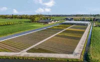 Tussenwoning te koop: Keetjesbongerd 62, Kesteren