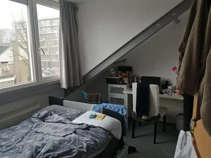 Kamer te huur: Kellendonkstraat, Over het Lange Water Arnhem