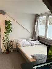 Kamer te huur: Kinkelenburglaan, Over het Lange Water Arnhem