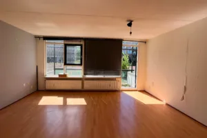 Home for rent: Kipstraat, Stadsdriehoek Rotterdam