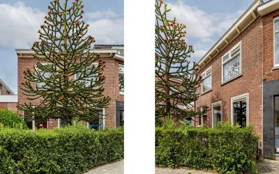 Tussenwoning te koop: Kleiweg 137, Hillegersberg Zuid Rotterdam