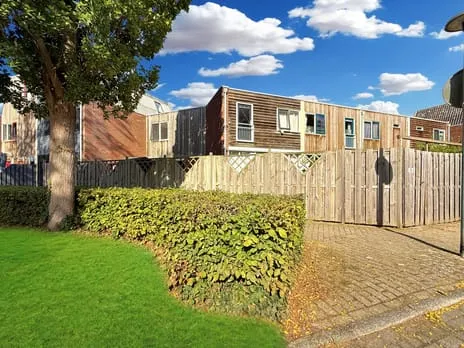 Tussenwoning te huur: Klipgriend 83, Klavergriend, Klippriend en Wilgengriend Almere