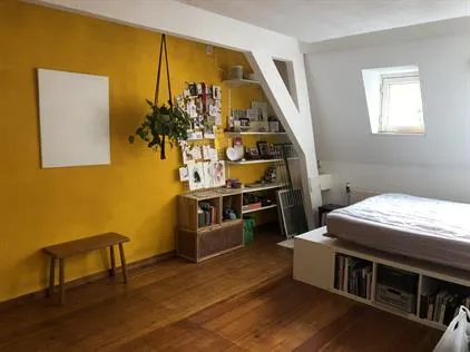Kamer te huur: Koningslaan, Wilhelminapark en omgeving Utrecht